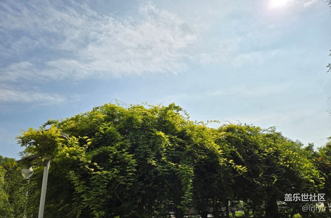 【秋影拾光】秋日掠影