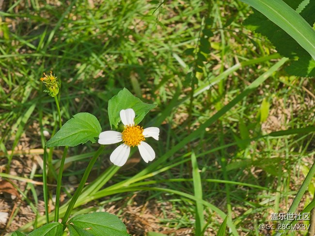 【旅途中的精彩時(shí)刻】沿路景色