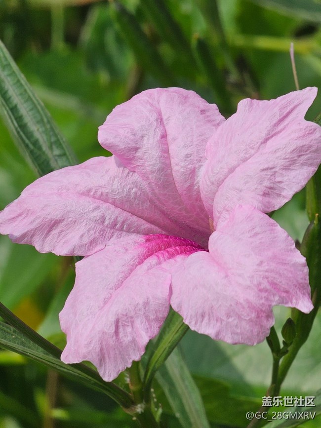 【旅途中的精彩時(shí)刻】沿路景色