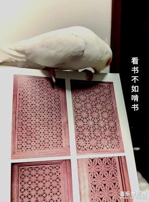 老三星，舊時光