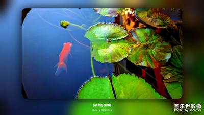 連雨也會快樂一場