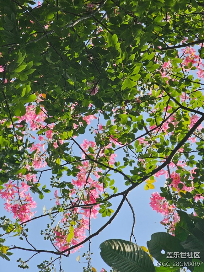 【秋意調(diào)色盤】色彩斑斕