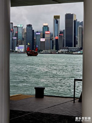 【秋日麗影】維港