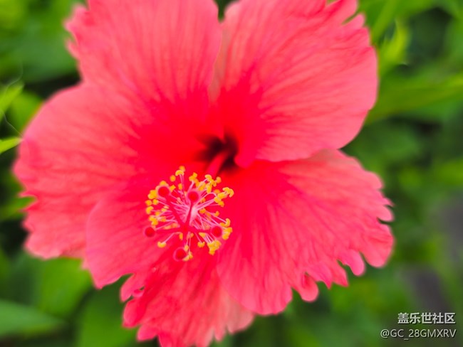 【旅途中的精彩時(shí)刻】沿路景色