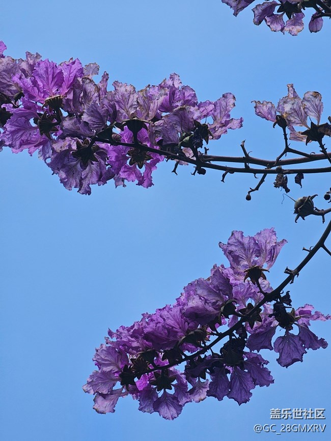 【旅途中的精彩時(shí)刻】沿路景色