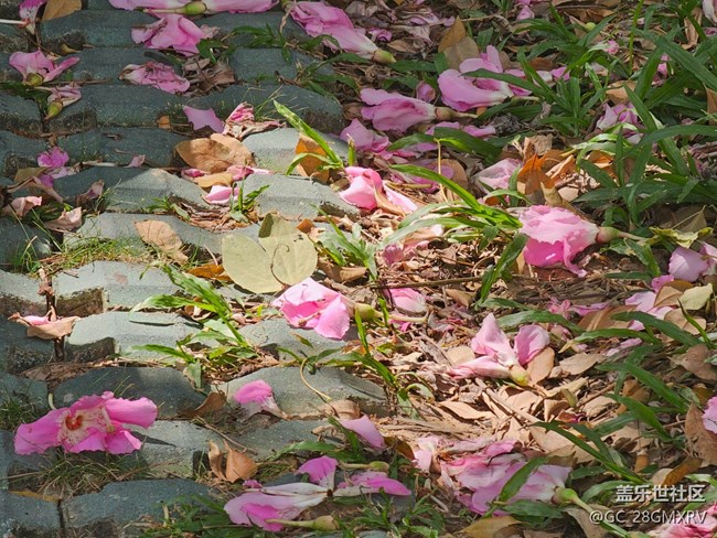 【秋意調(diào)色盤】色彩斑斕