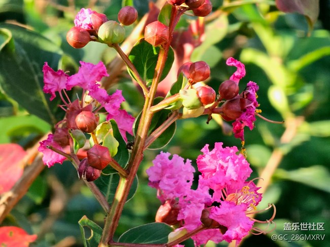 【秋意調(diào)色盤】色彩斑斕