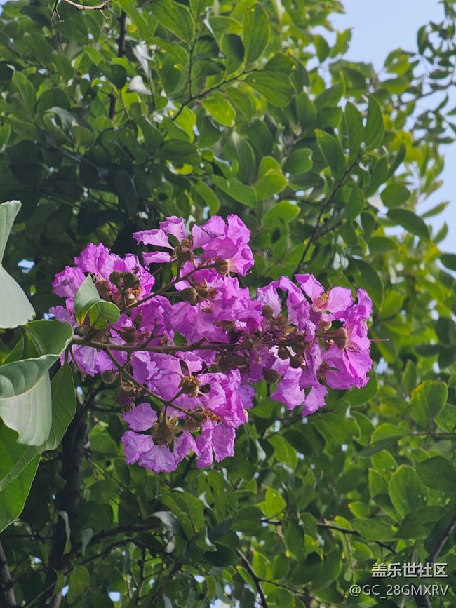 【旅途中的精彩時(shí)刻】沿路景色