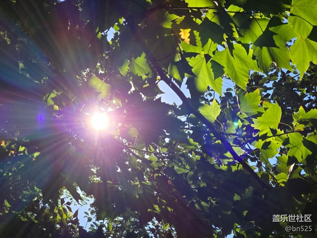 【秋影拾光】秋日陽(yáng)光