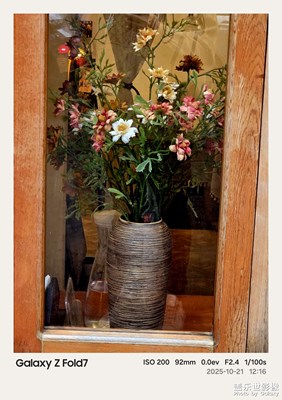 【秋日麗影】深秋雨