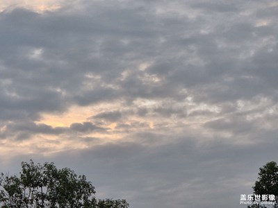 【秋日麗影】+生活調(diào)味劑