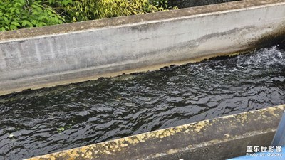 【秋日麗影】+流水淙淙