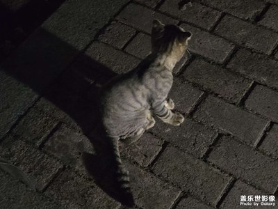 【秋日麗影】精彩瞬間