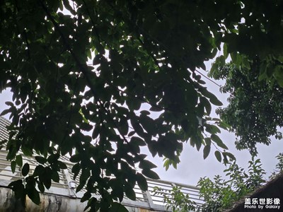 【秋日麗影】寒來暑往