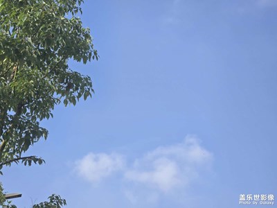 【秋日麗影】+藍(lán)天白云