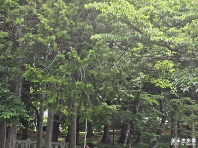 【秋日麗影】溫暖的陽光