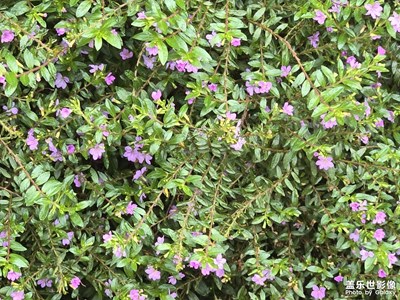 【秋日麗影】記錄美好