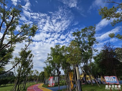 【秋日麗影】秋日已至