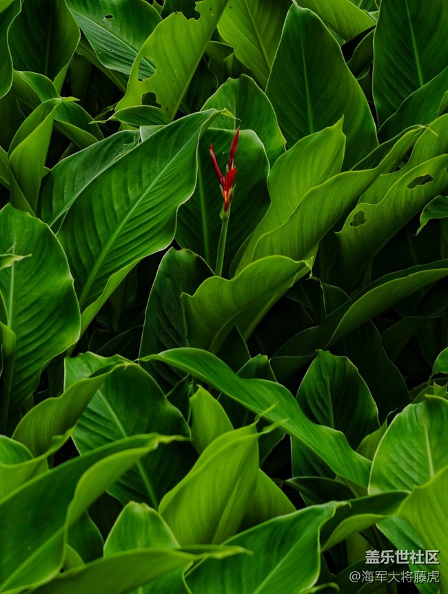 【世間的美好】世間美好，藏于每一處角落