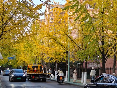 【秋尾拾光】秋色漸深