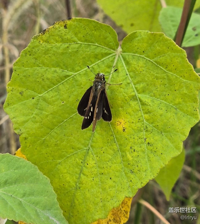 【與秋天合個影】步履間的秋天