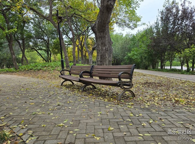 【與秋天合個影】步履間的秋天