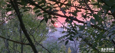 蕭蕭遠(yuǎn)樹疏林外， 一半秋山帶夕陽(yáng)