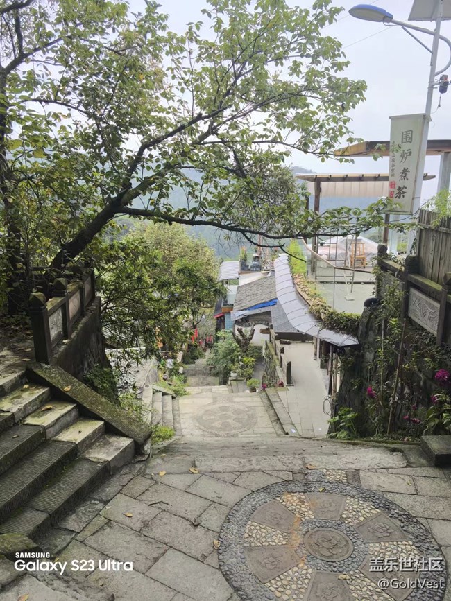 【拾秋鏡畫】一陣秋雨一場寒