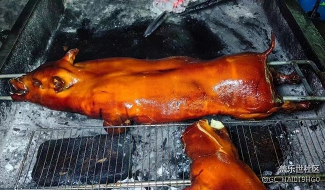 【霜華食記】烤乳豬