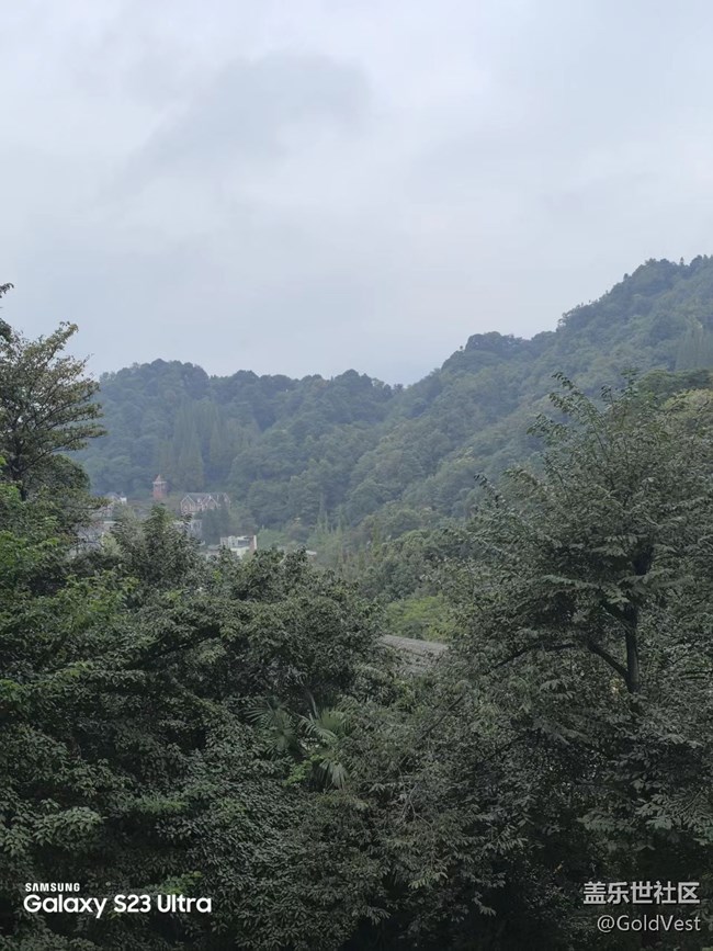 【拾秋鏡畫】一陣秋雨一場寒