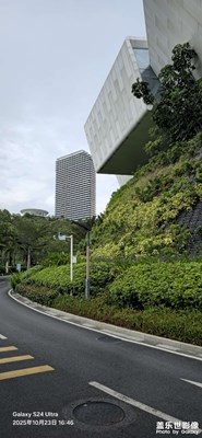 【秋尾拾光】云頂海岸Galaxy S24 Ultra