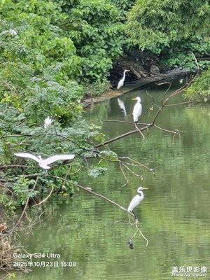 【秋尾拾光】和諧共處