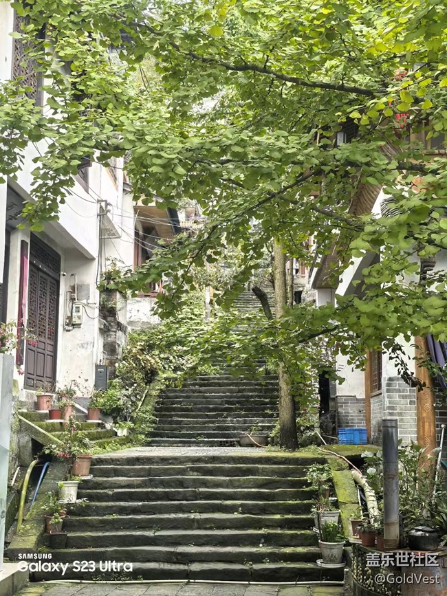 【拾秋鏡畫】一陣秋雨一場寒