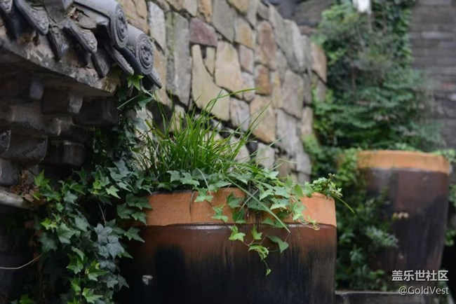 【秋天的明信片】走進(jìn)深山人家處