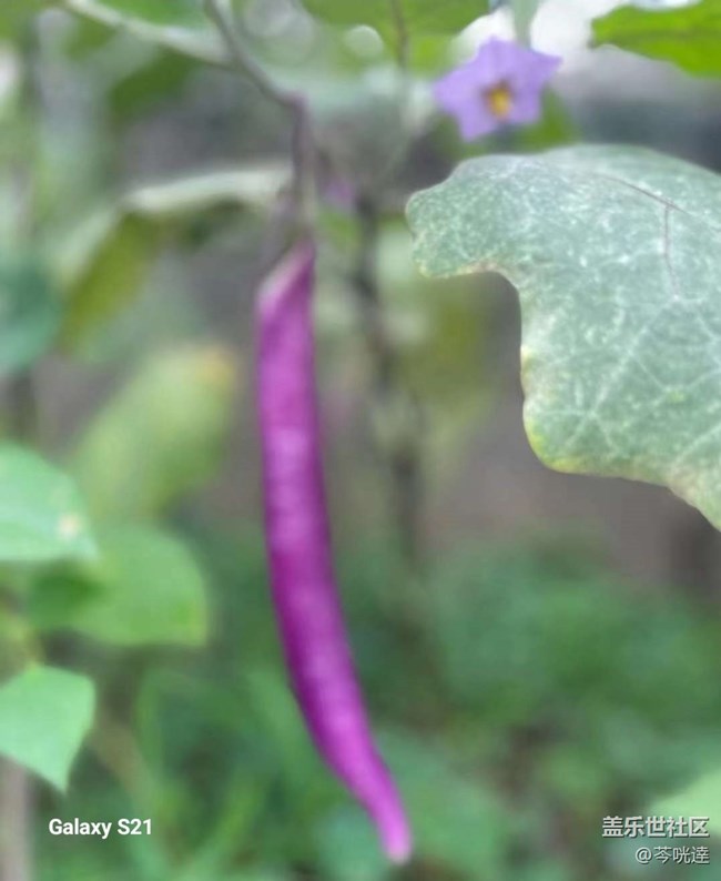 【拾秋鏡畫】收獲的快樂