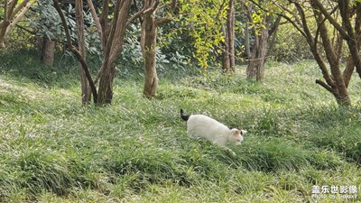 【秋尾拾光】捕捉快樂的時光