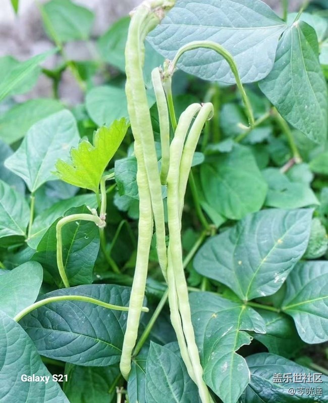 【拾秋鏡畫】收獲的快樂