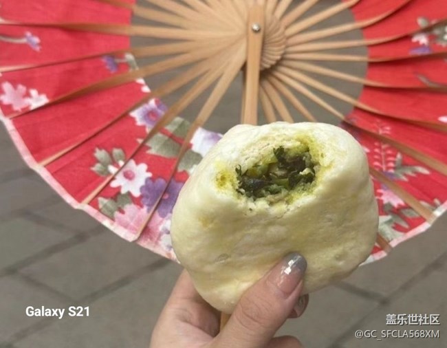 【拾秋鏡畫】西園寺