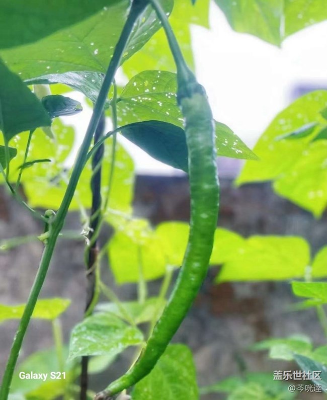 【拾秋鏡畫】收獲的快樂