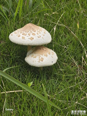 【秋尾拾光】+繽紛秋色