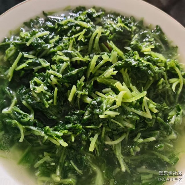 【霜華食記】吃午飯