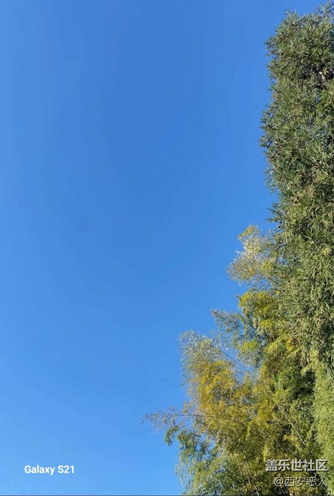 【拾秋鏡畫】暖陽