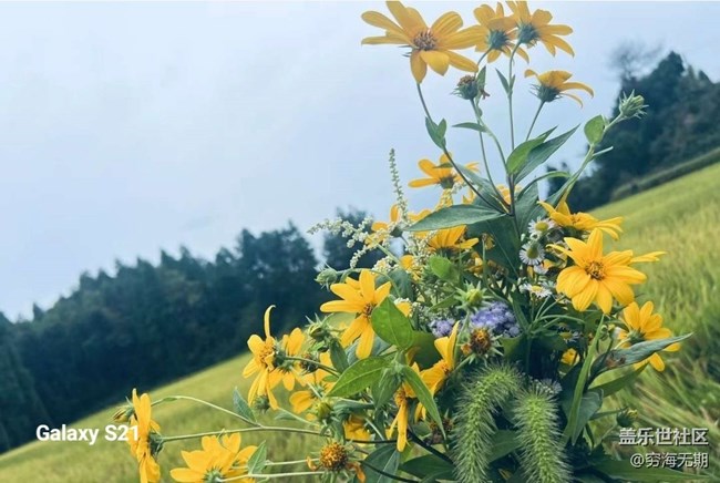 【拾秋鏡畫】參加活動