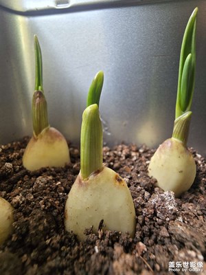 【秋尾拾光】成長(zhǎng)于秋