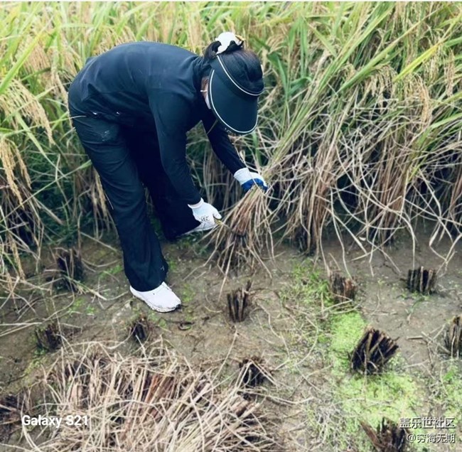 【拾秋鏡畫】參加活動