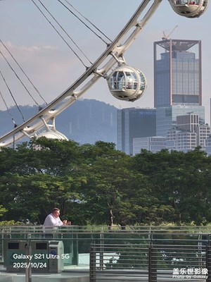 【秋尾拾光】深圳秋天