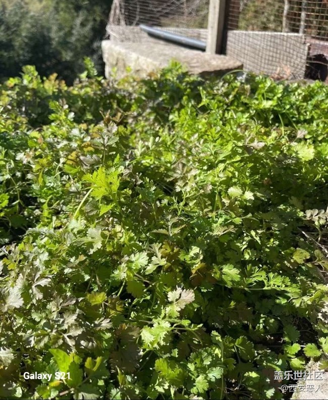 【拾秋鏡畫】暖陽