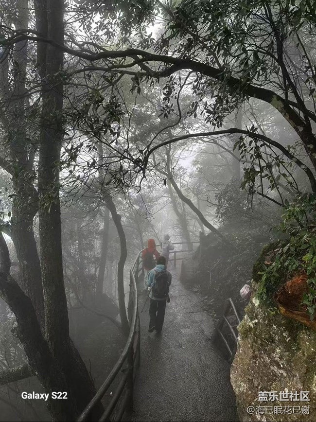 【拾秋鏡畫(huà)】秋天攀爬