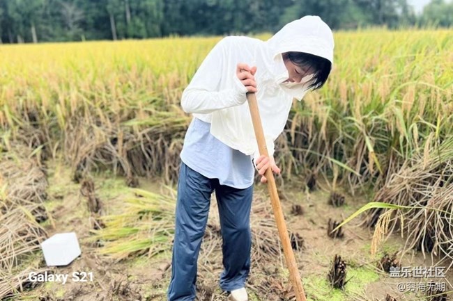 【拾秋鏡畫】參加活動