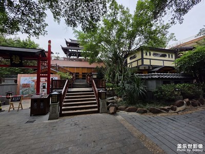 【秋尾拾光】南粵大地的秋尾